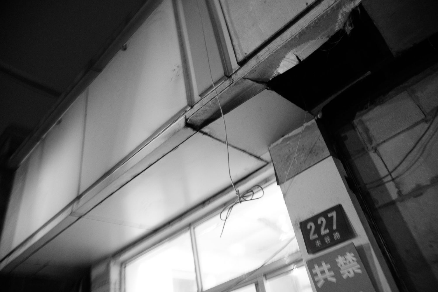 上海 2020 image 82